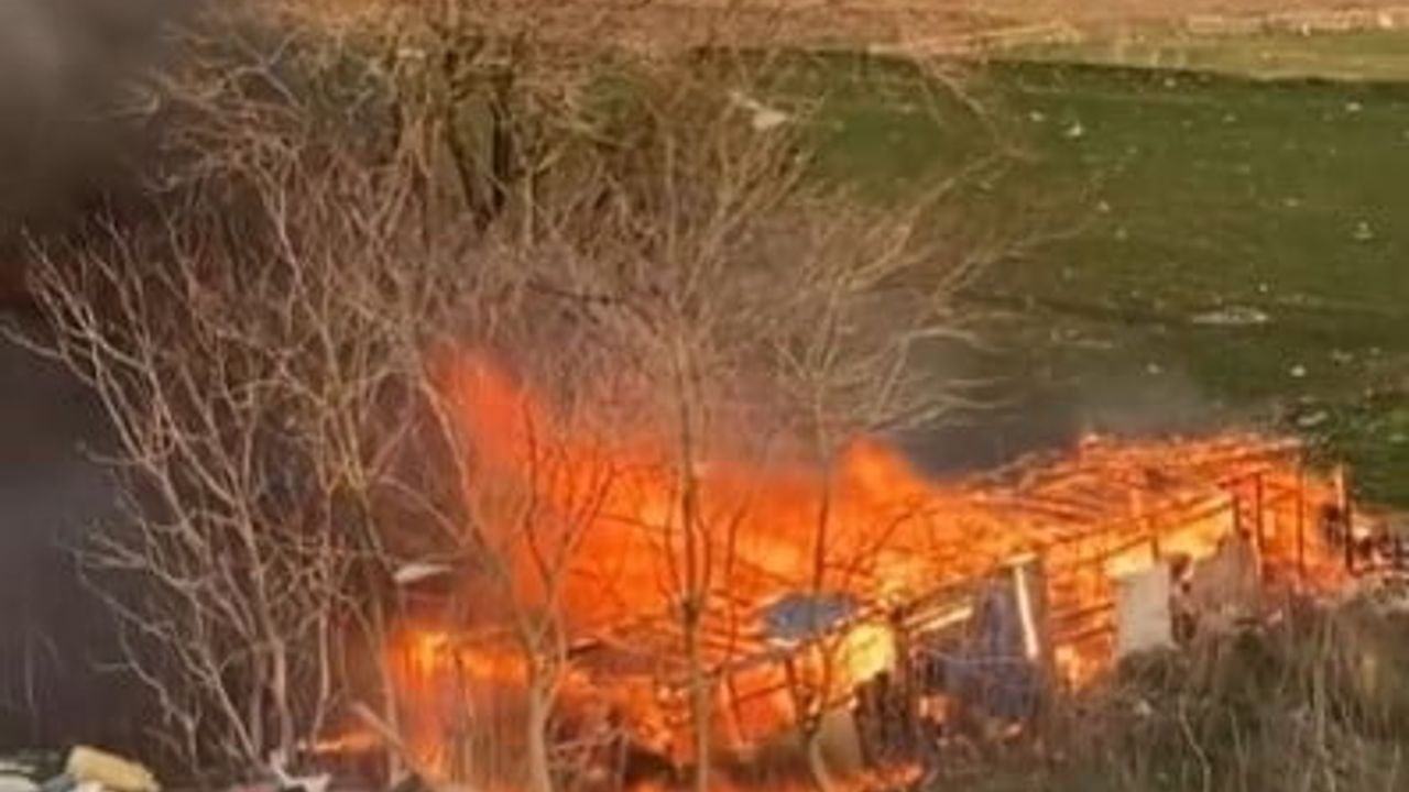 Karacabey'de ağılda yangın — hayvanlar kurtarıldı