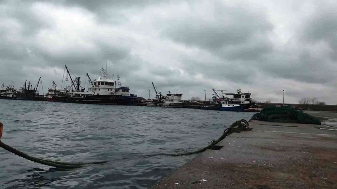 Karadeniz’de Lüfer Bol Ama Ağlara Takılmıyor