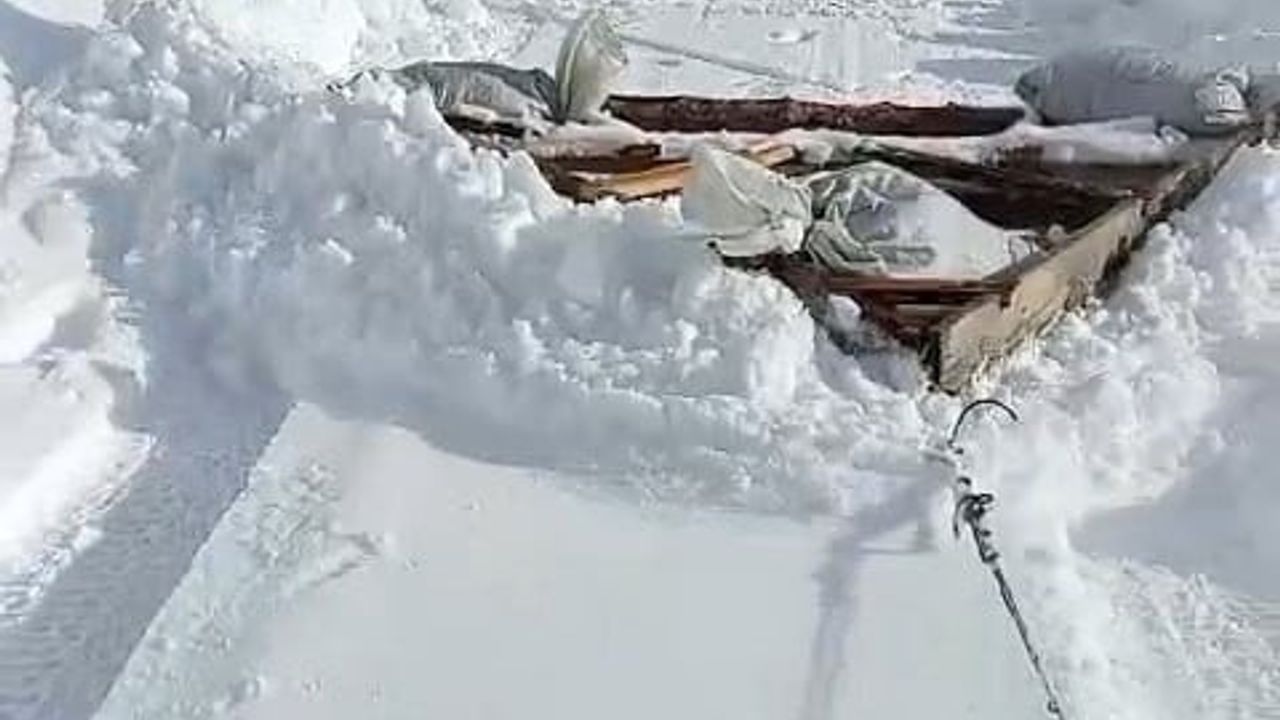 Karadenizli çözüm: Cebeli köyünde arazi aracıyla 6,5 kilometrelik yol açıldı