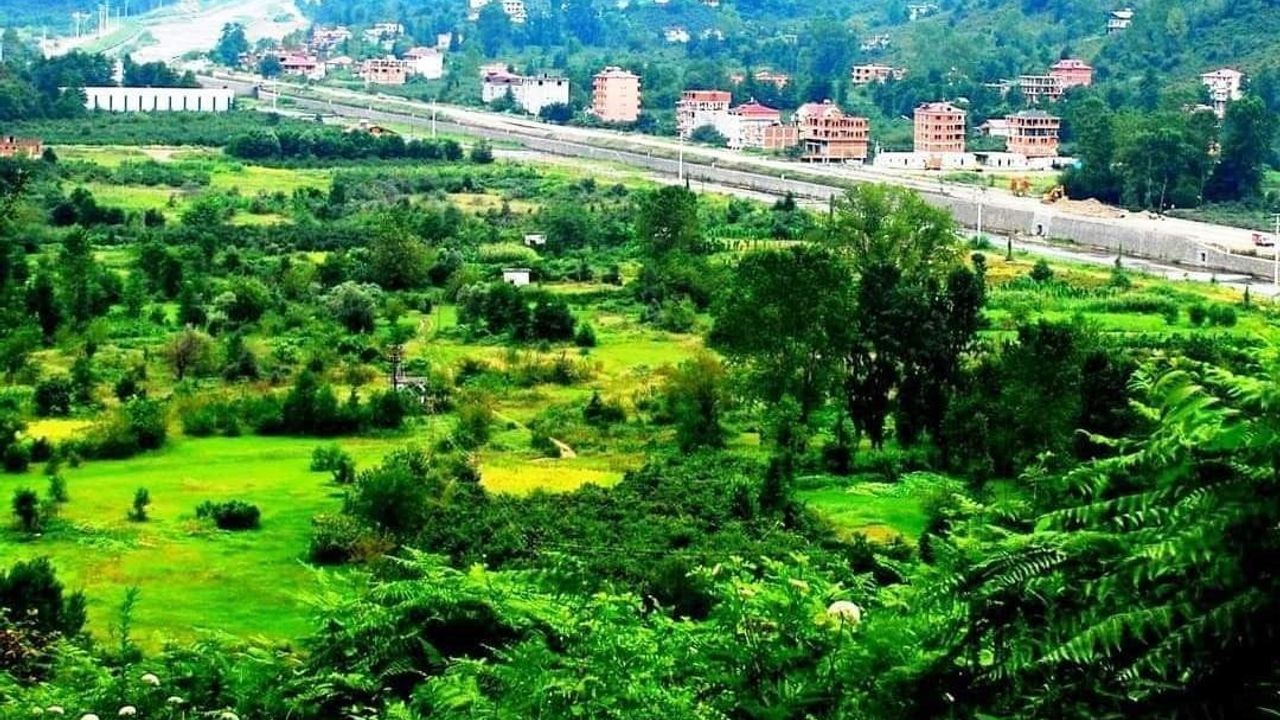 Karadere Vadisi tarım üssü olmalı, Mehmet Akif Bal çağrısı