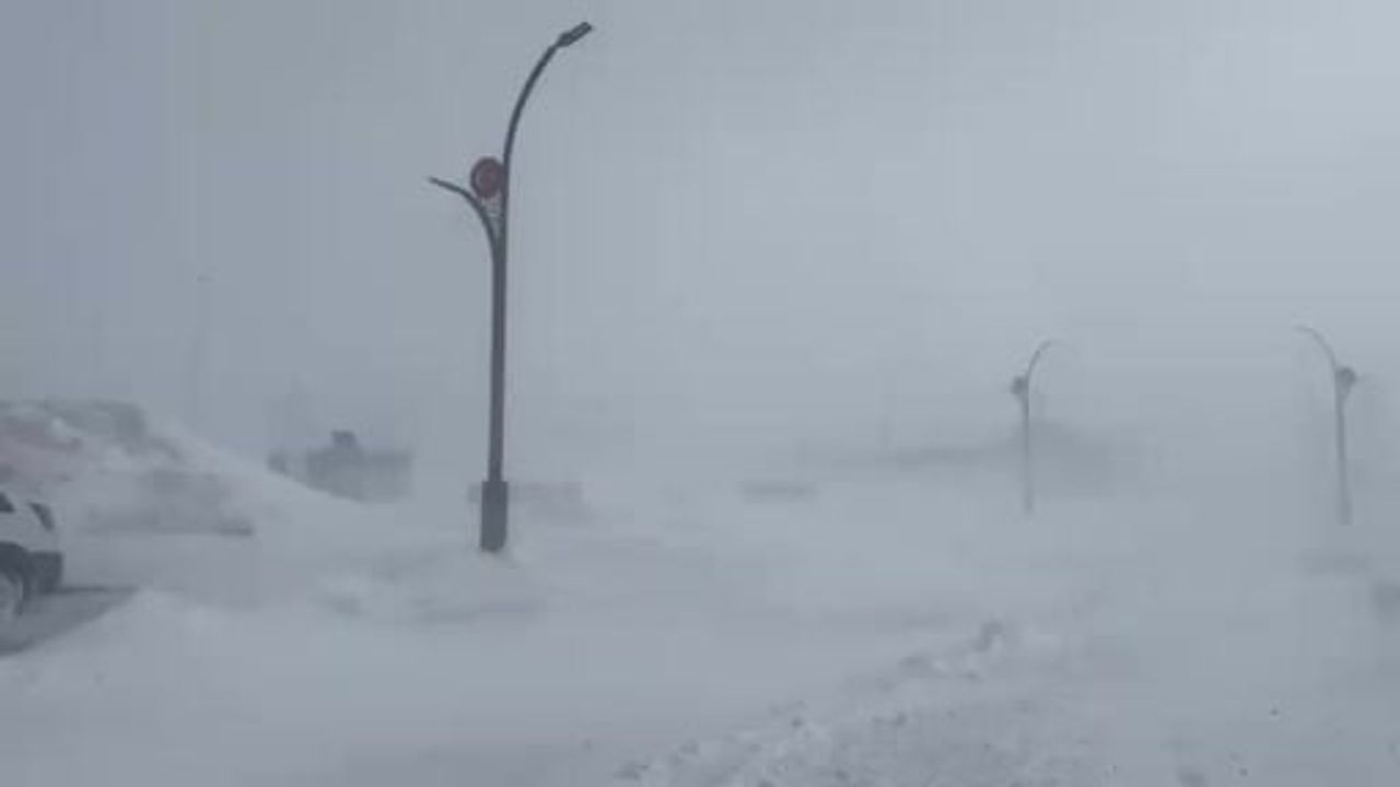 Karayazı'da 'Kurdo rüzgârı' yaşamı olumsuz etkiledi