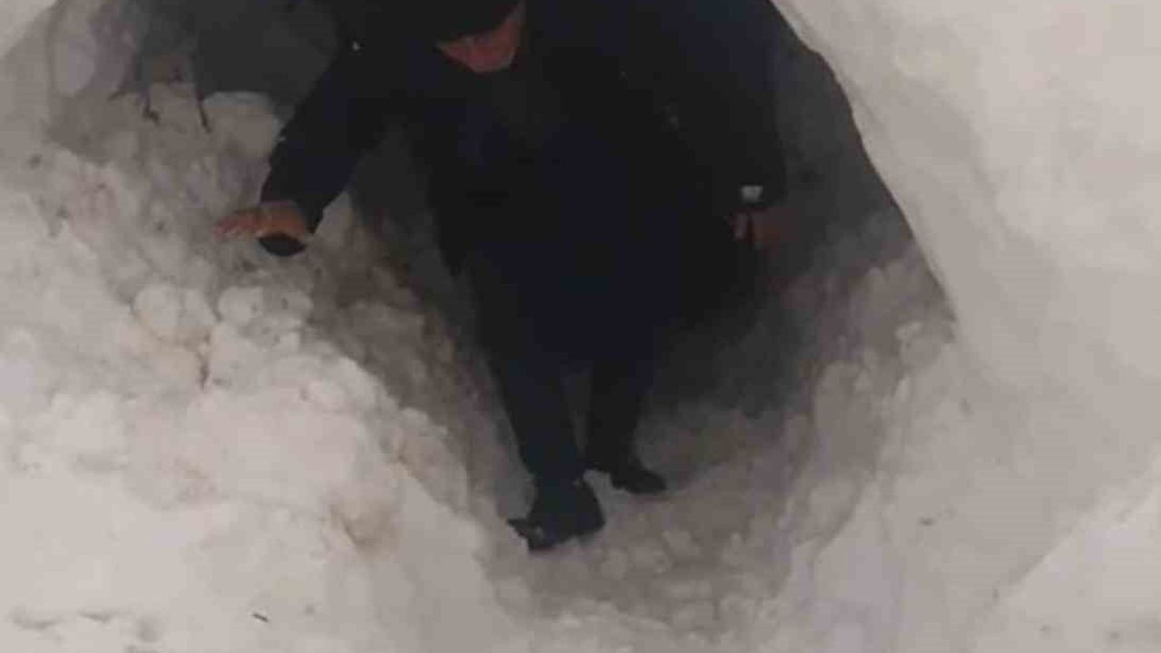 Kardan kapanan ahıra tünel açarak giren besici