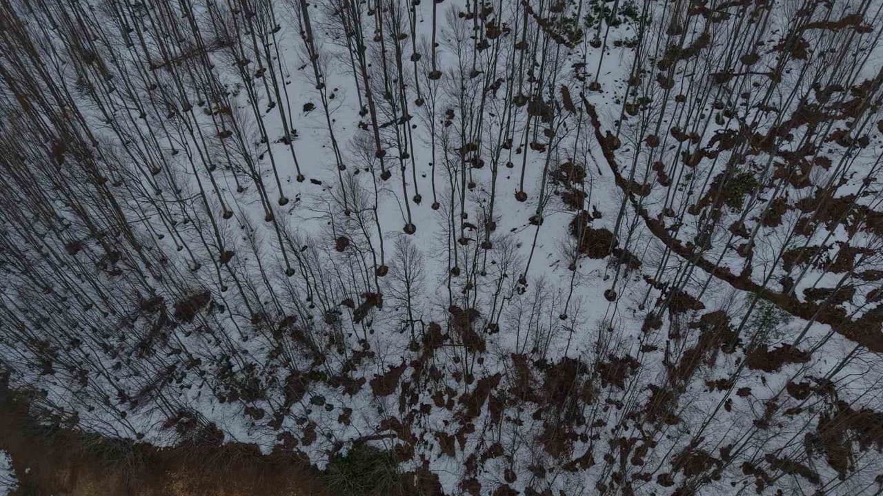 Karla Örtülen 900 Rakımlı Çam Dağı'nda Kartpostallık Görüntüler