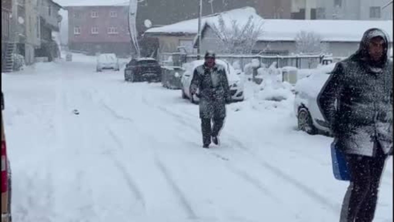 Karlıova'da Kar Yağışı Yeniden Etkili