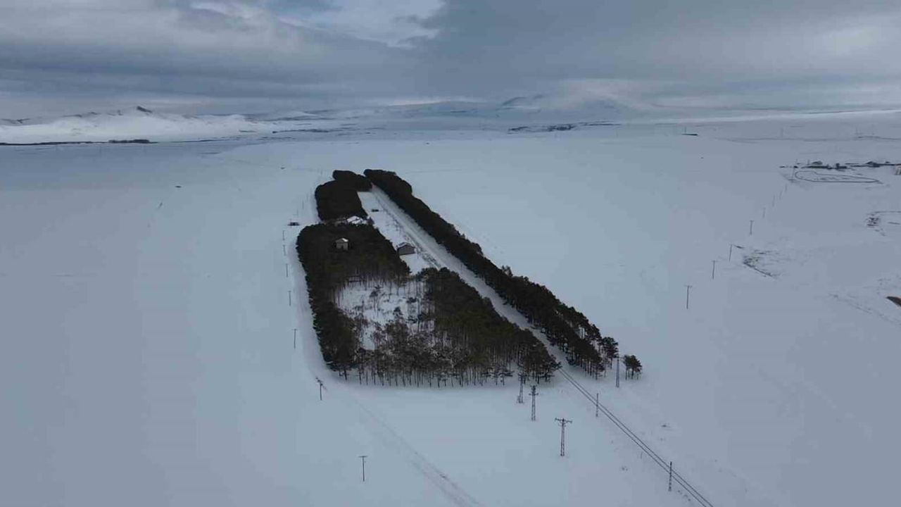Kars’ta Benliahmet İstasyonu: Bozkırın Ortasında Kışın Yeşil Koridoru
