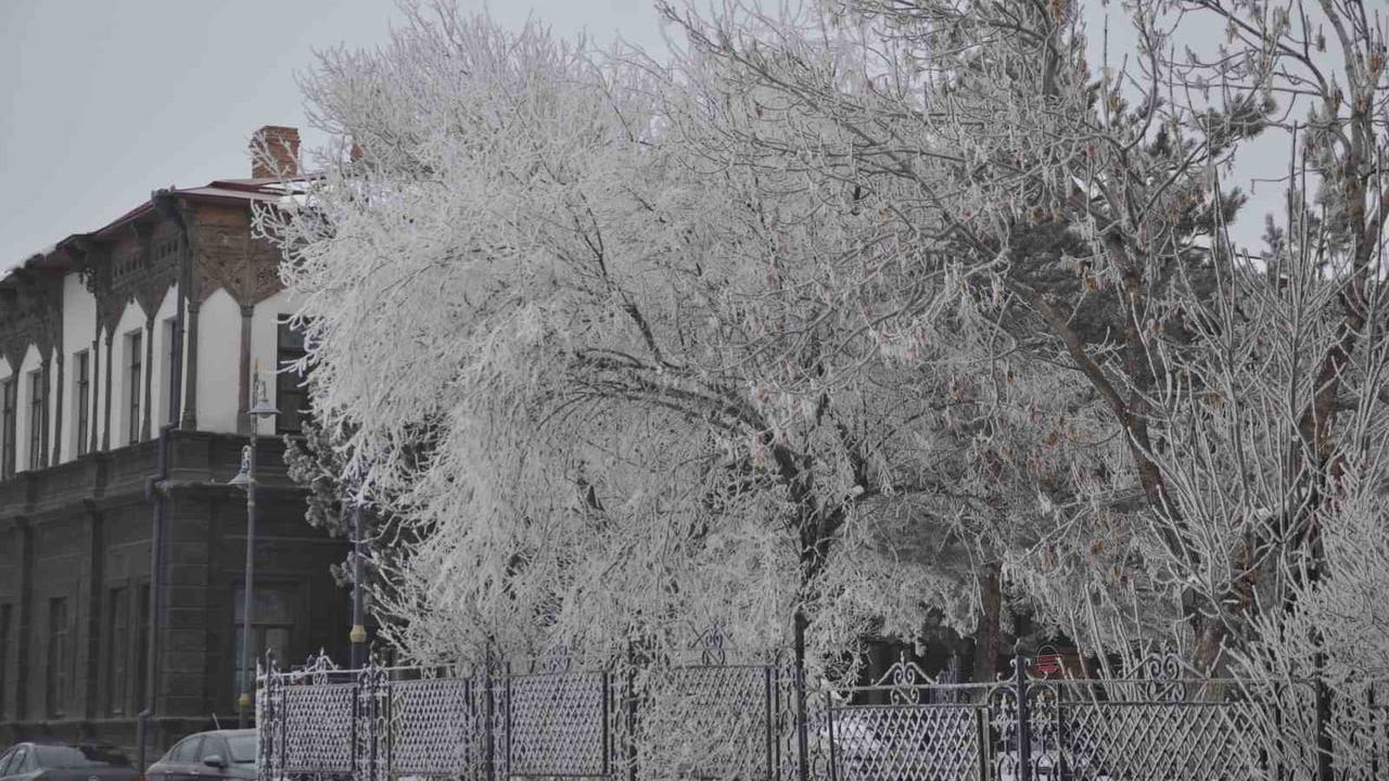 Kars'ta eksi 20 derece: Ağaçlar kırağıyla kaplandı
