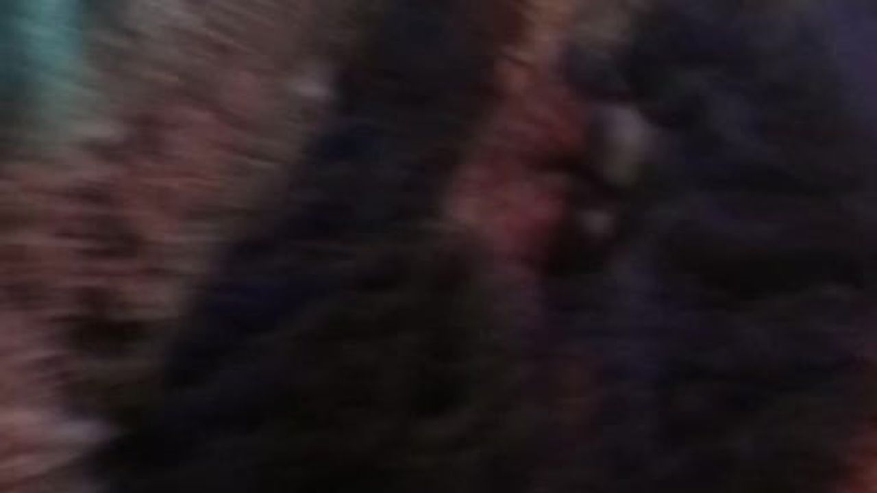 Kars’ta Mehmetçik paletli kar aracıyla mahsur yaşlı hastayı sağlık ekiplerine ulaştırdı