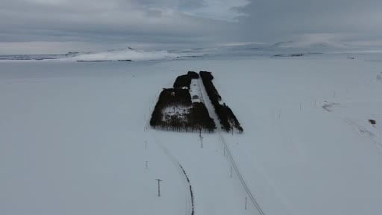 Kars'ta Tarihi Benliahmet Tren İstasyonunda 20 Bin Çamlık Kış Vahası