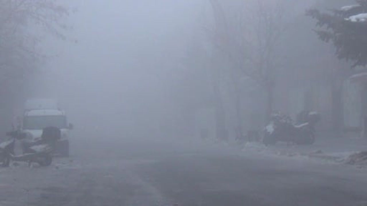 Kars'ta yoğun sis etkili oldu