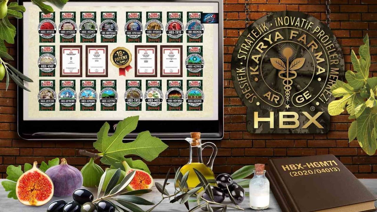 Karya Farma HBX Ar-Ge, İncir ve Zeytin Bilimsel Araştırmalar Akademisi kuruyor