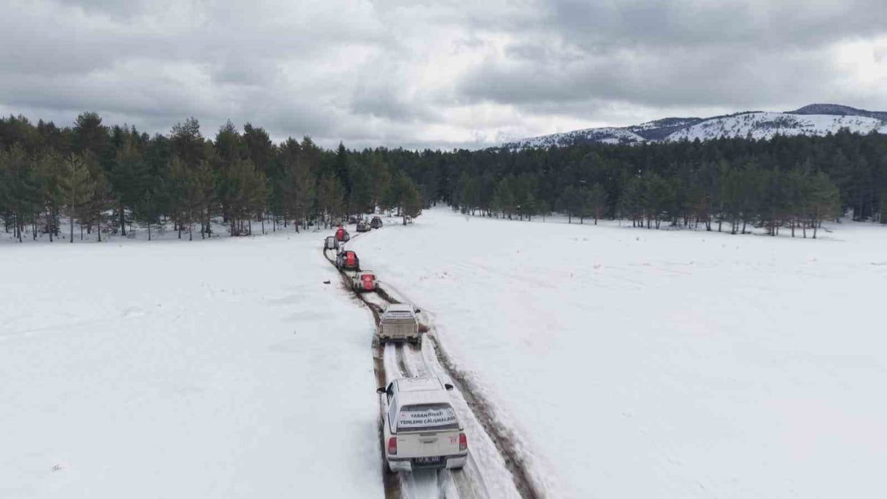 Kastamonu'da yaban hayvanlarına yem desteği