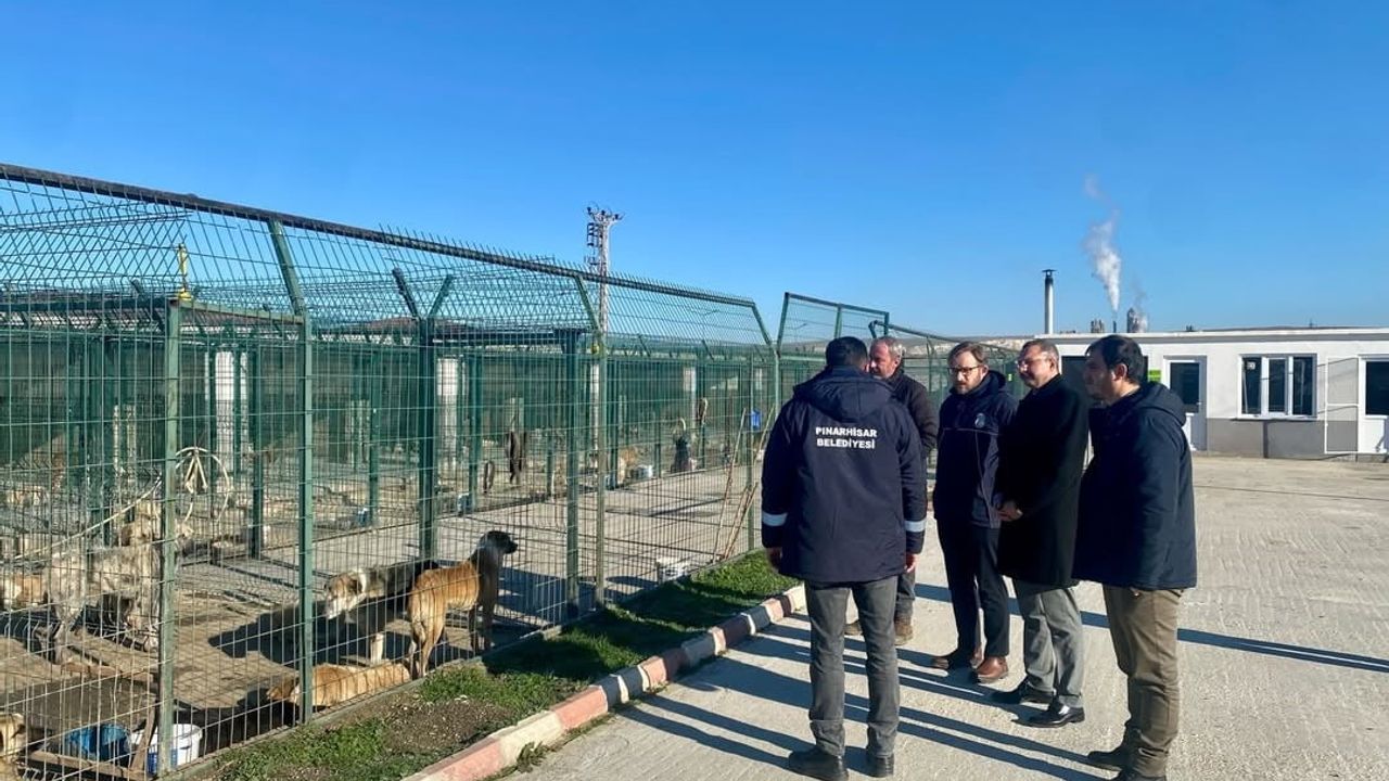 Kaymakam Özderin Pınarhisar Geçici Hayvan Bakım ve Gözlem Merkezi’nde İnceleme Yaptı