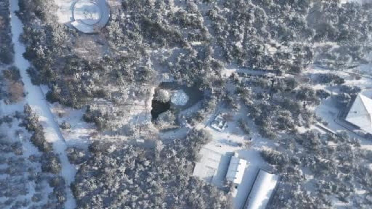 Kayseri'de Termometreler -14'ü Gösterdi: Gölet Buz Tuttu, Kuşlar Görsel Şölen Yarattı