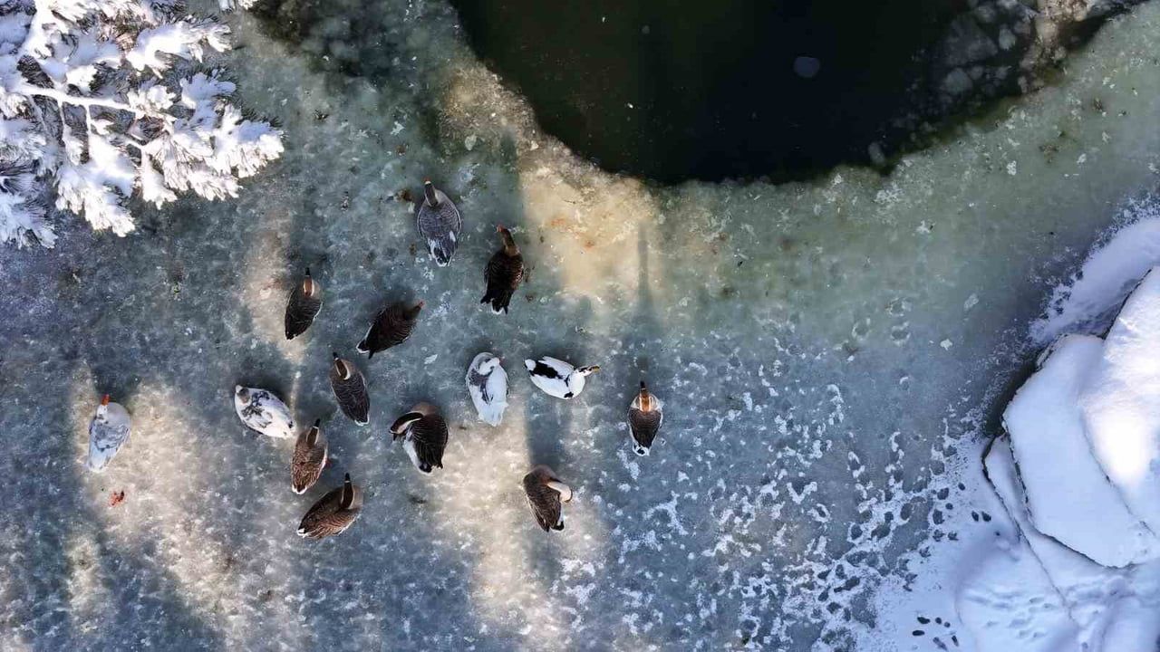 Kayseri'de termometreler eksi 14: Yapay gölet buz tuttu