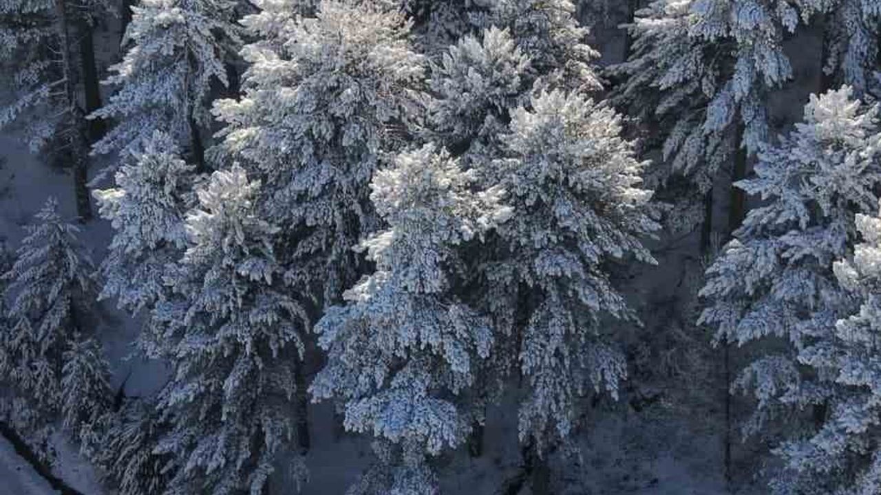 Kazdağları Sarıkız Tepesi'nde Kar Manzarası Drone ile Büyülüyor