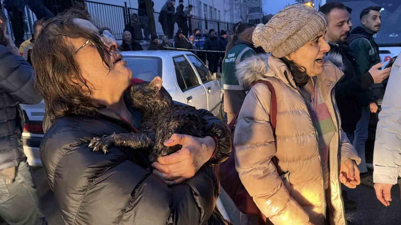 Kedileri ısıtmak için yakılan soba yangına dönüştü: İki ev kullanılamaz hale geldi