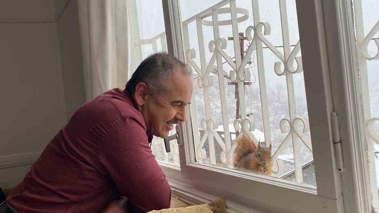 Kemaliye Taşdibi'de Aç Kalan Sincaplar Pencerelere Misafir Oluyor