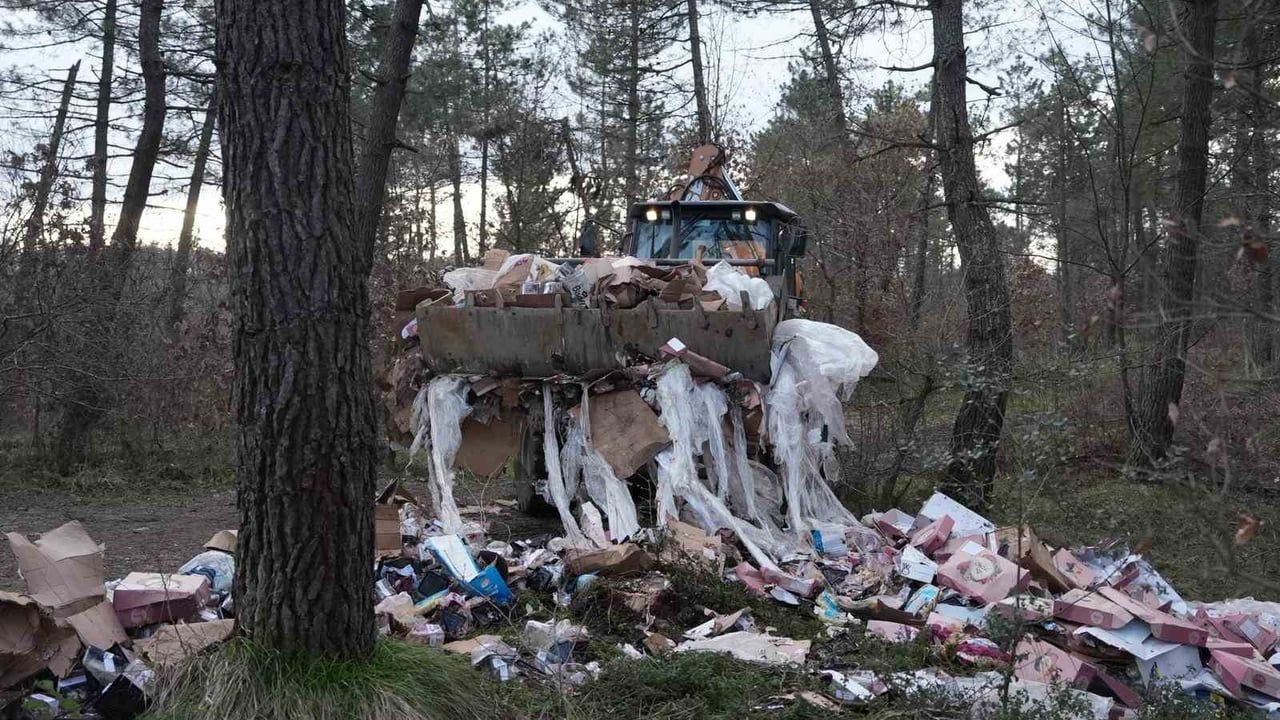 Kent Ormanı çöplerden temizlendi: Düzce Belediyesi müdahalesi