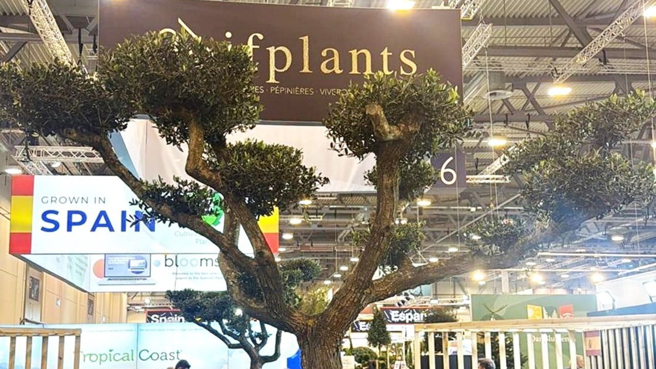 Kestel’in Yeşil Gücü Essen Fuarı’nda Dünyaya Açıldı