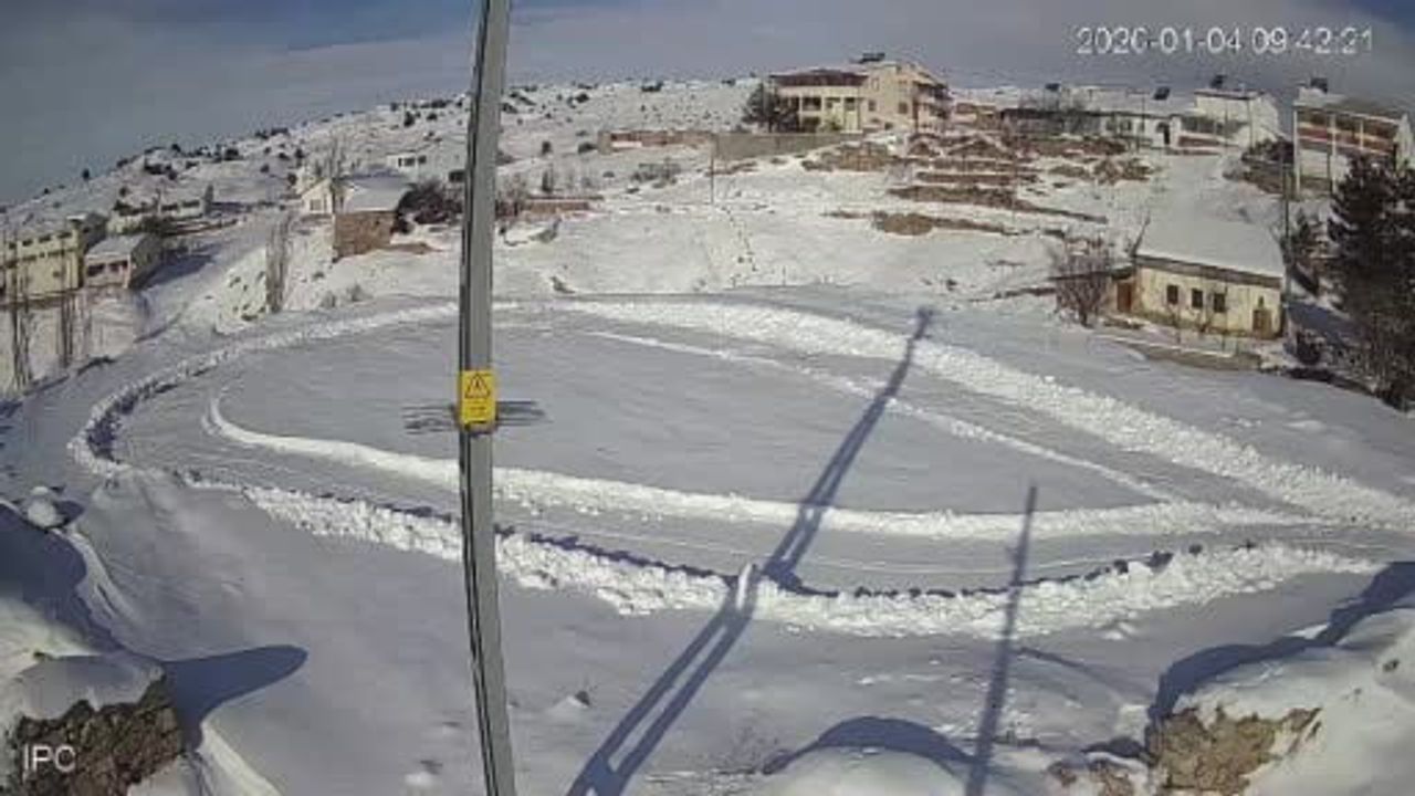 Kılıçköy'de vaşağın tavşan avı kamerada — Doğanın kanunu