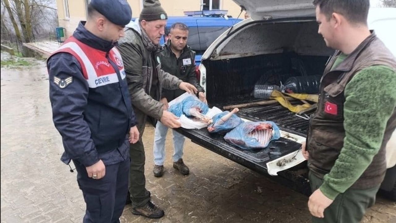 Kırklareli'de yasa dışı karaca avına 50 bin 943 lira ceza