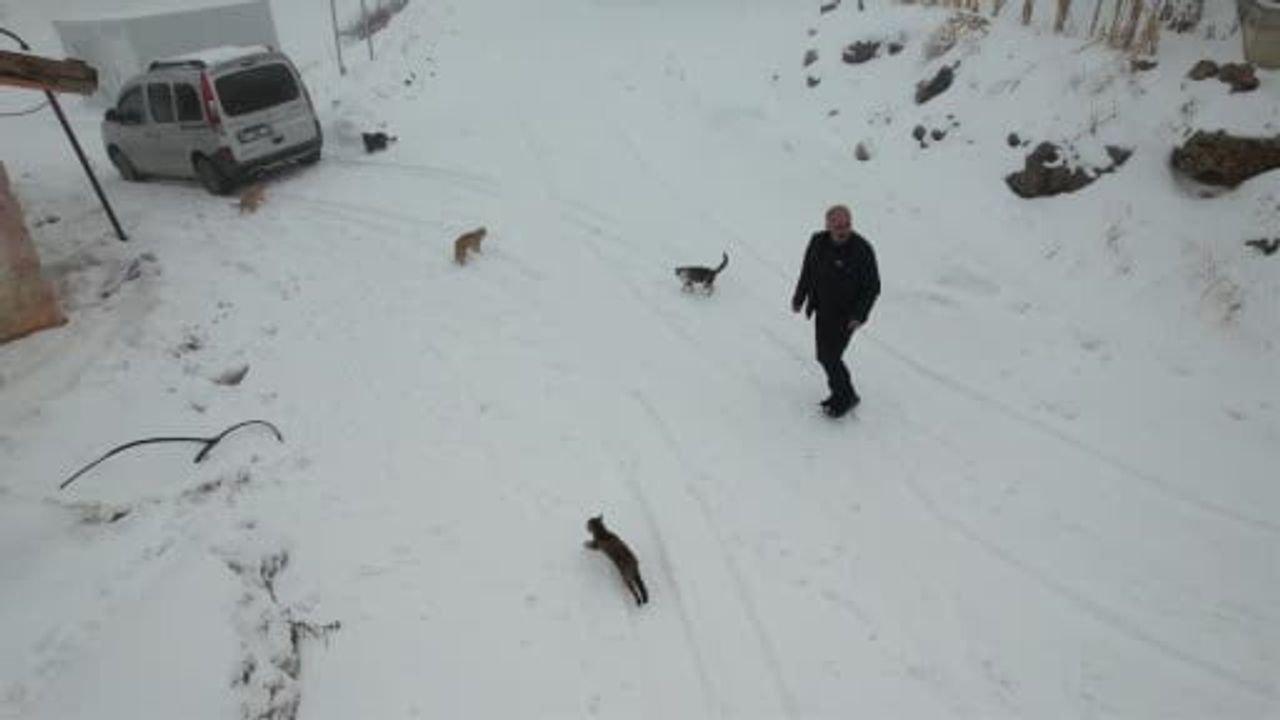 Kışın yalnız kalan Sarıkaya: Muhtar ve ailesi köyü bekliyor