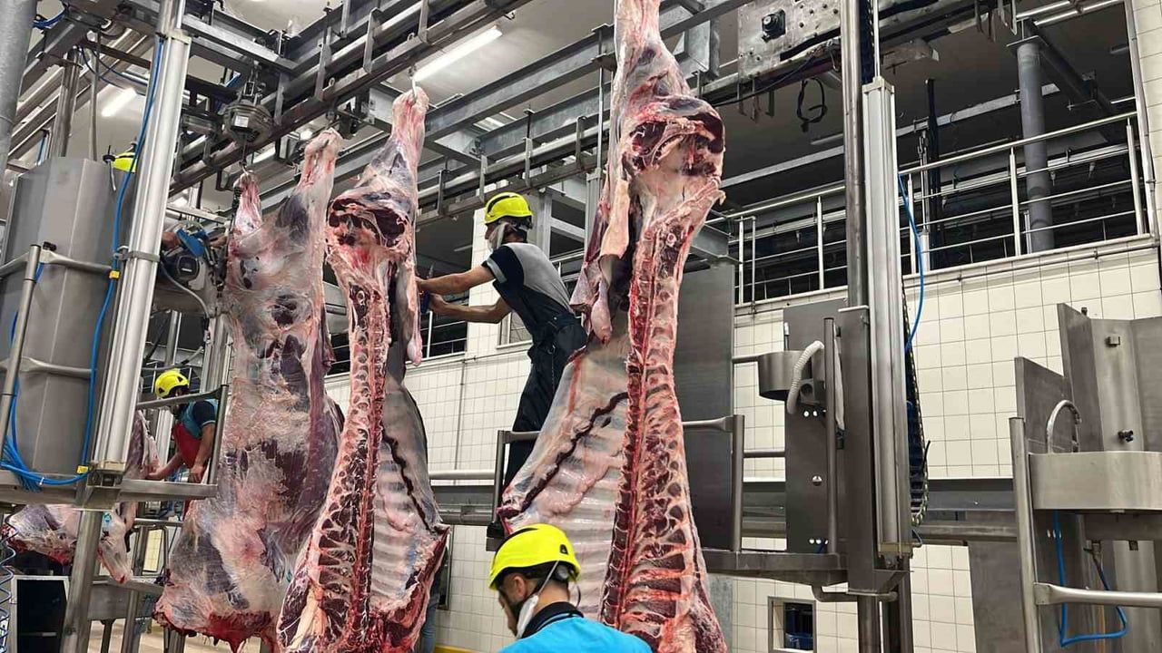 Kocaeli Büyükşehir Mezbahasında 6.029 Hayvan Kesimi, 1.713.933 kg Et Kasaplara Teslim Edildi