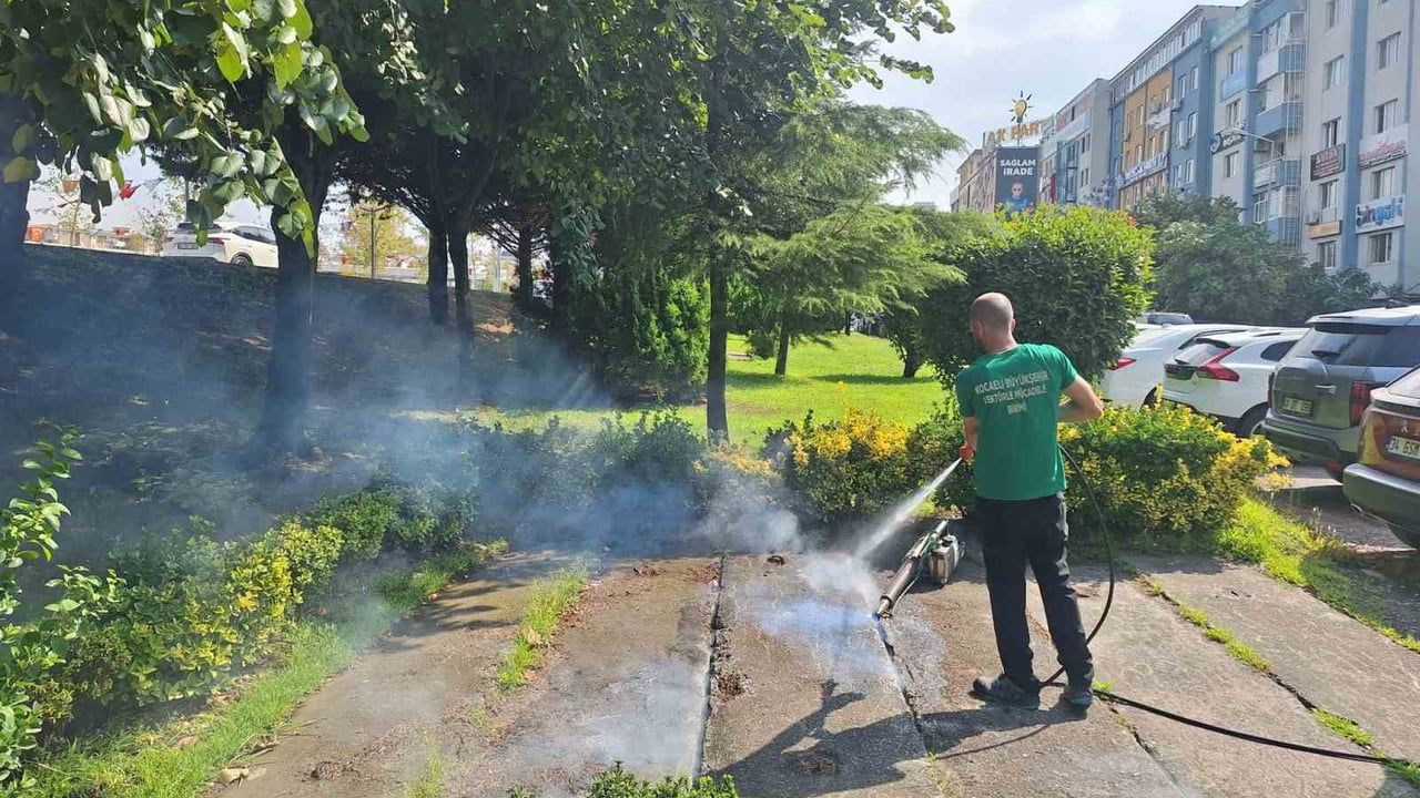 Kocaeli'de 2025'te 24 milyon 101 bin m² alanda vektörle mücadele