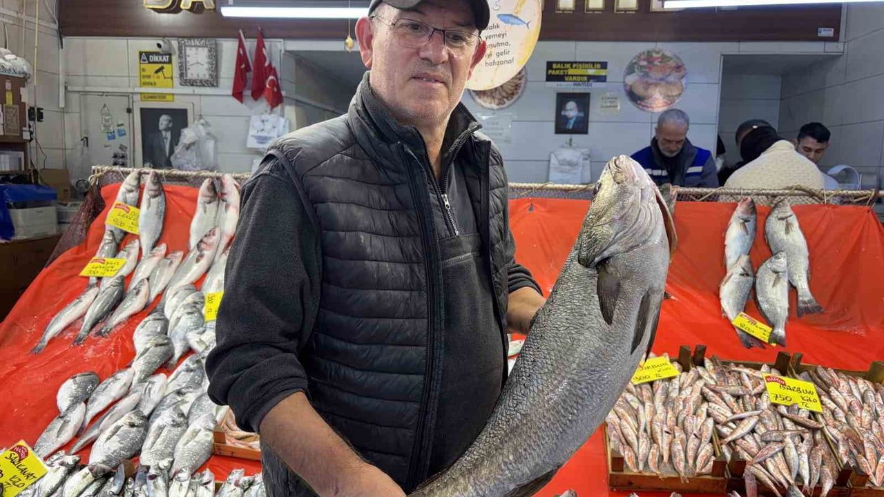 Kocaeli'de Balık Tezgahlarında Durgunluk ve Yükselen Fiyatlar