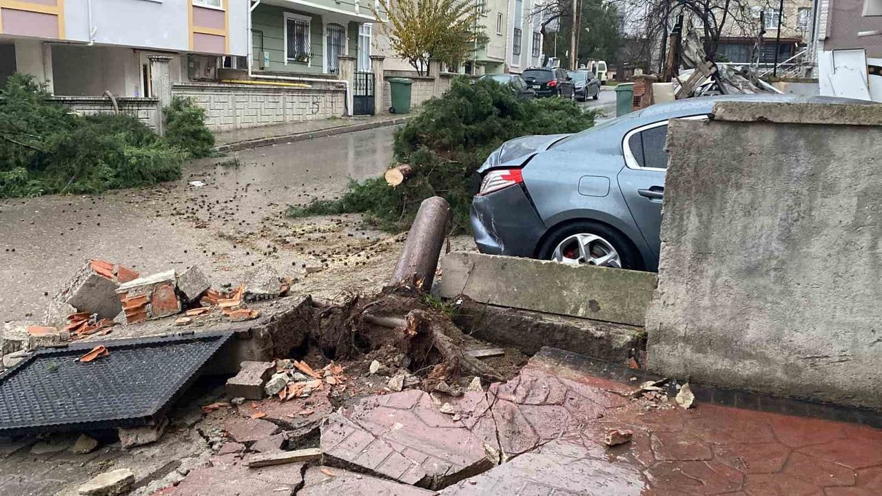 Kocaeli Körfez'de 12 metrelik ağaç devrildi, yol kapandı