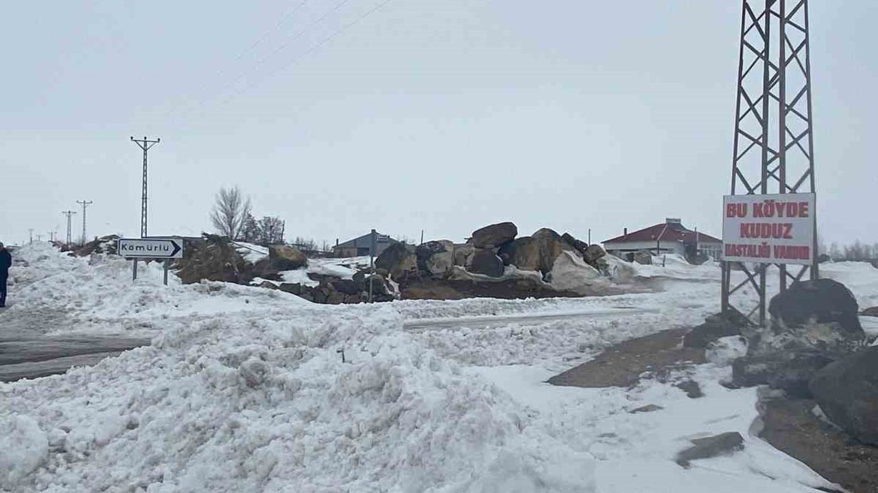 Kömürlü köyü karantinaya alındı: Köpekte kuduz tespit edildi