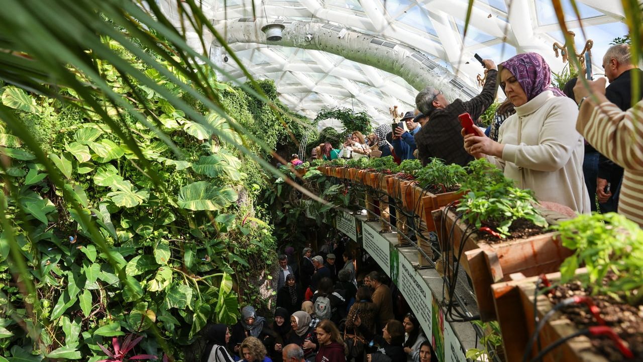 Konya Tropikal Kelebek Bahçesi 2025'te 603 bin 23, toplam 4 milyon 136 bin 888 ziyaretçiyi ağırladı