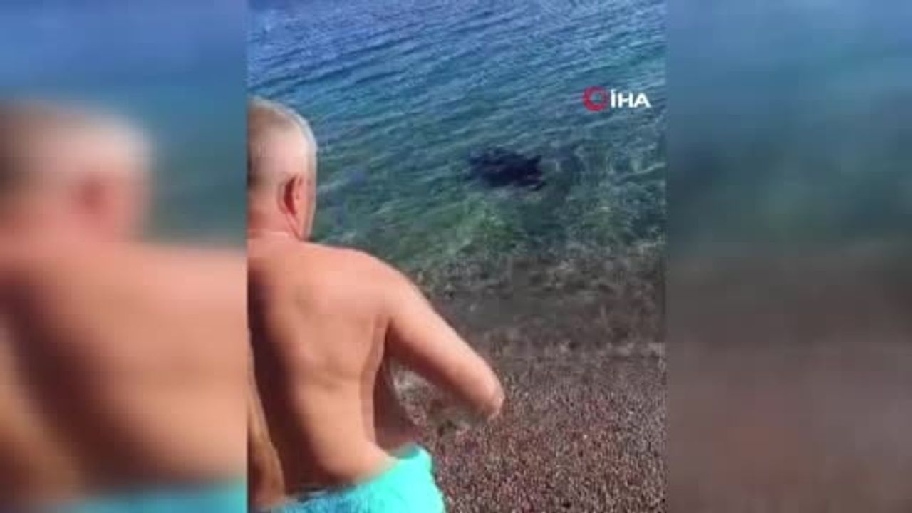 Konyaaltı Sahili'nde oltaya erkek cesedi takıldı