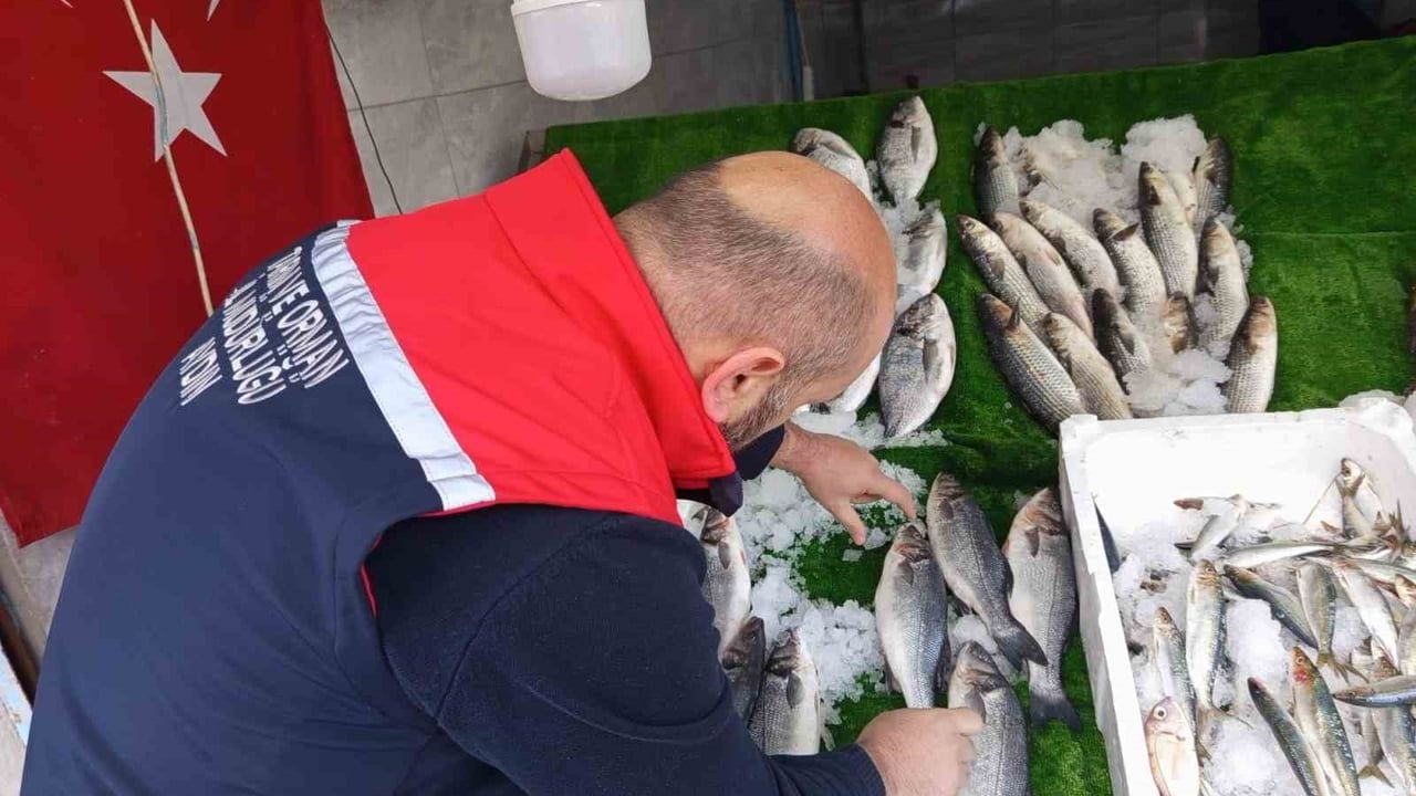 Köşk'te su ürünleri işletmelerine kapsamlı denetim
