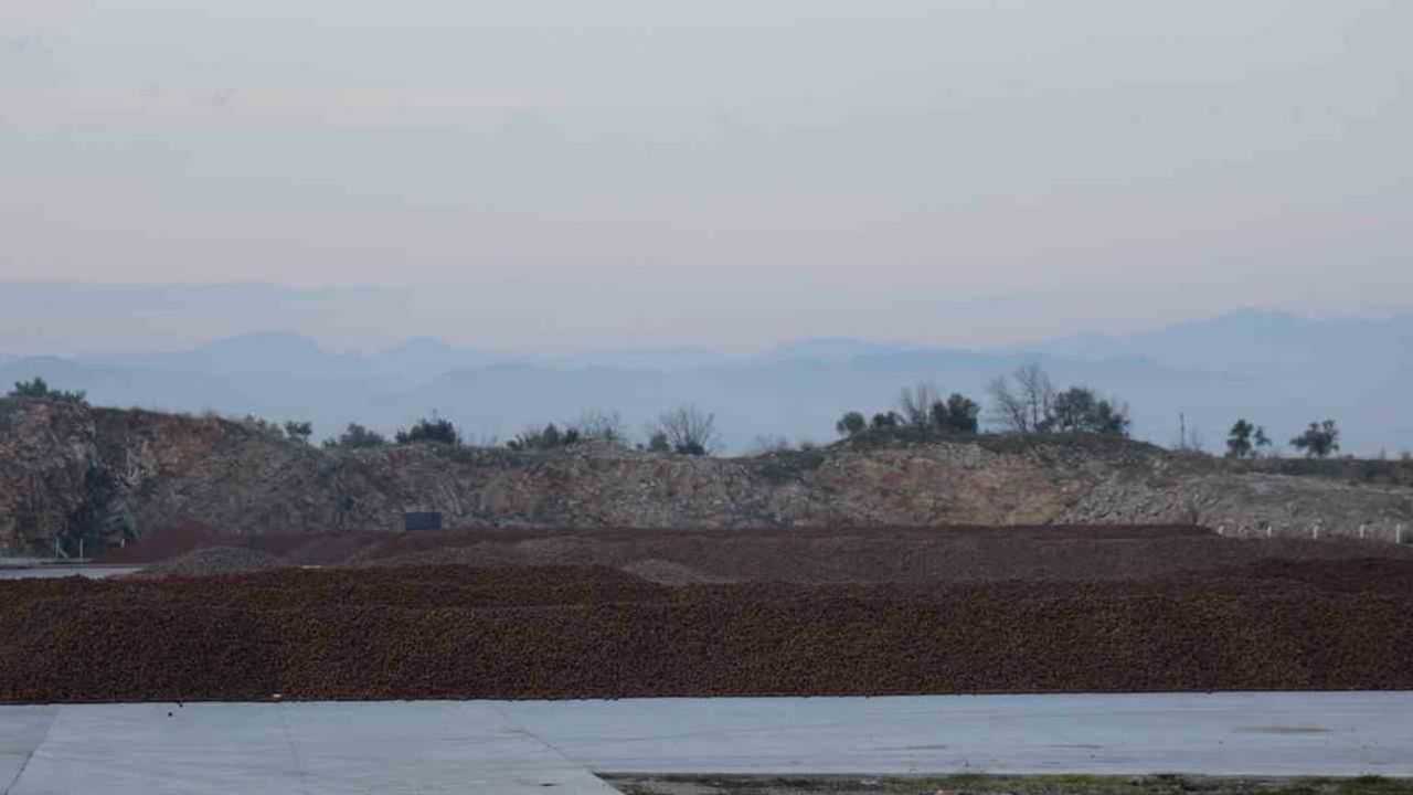 Kozalak İşleme Tesislerinde Yoğun Mesai: Çam Fıstığı (Künar) Sezonu