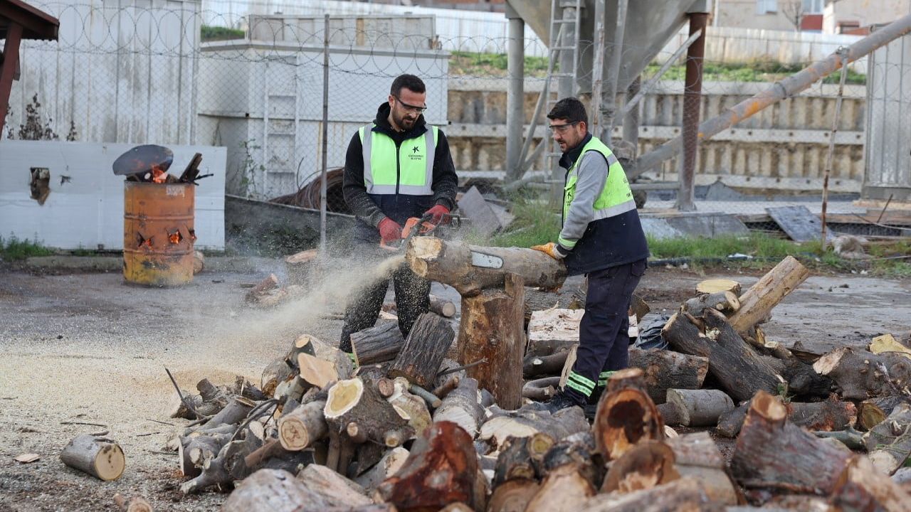 Küçükçekmece'de budanan ağaç dalları ihtiyaç sahiplerine yakacak oluyor