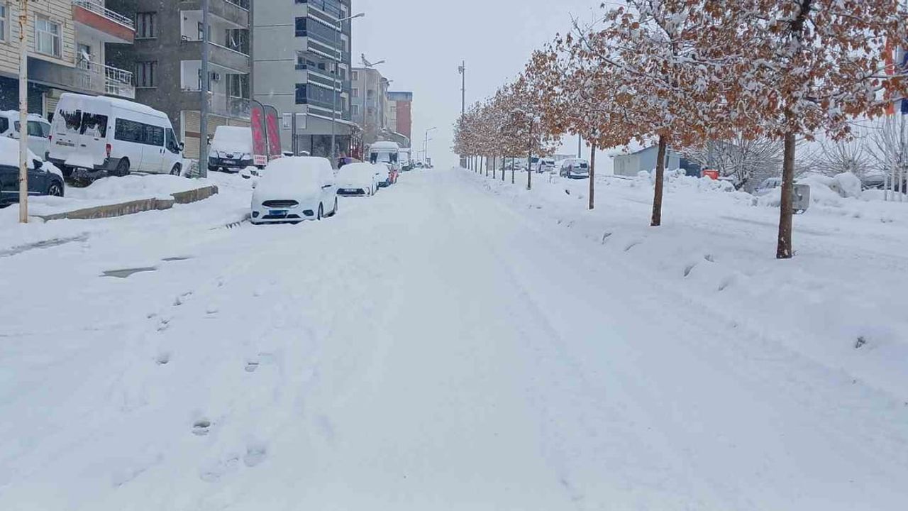 Kulp'ta Kar Ulaşımı Olumsuz Etkiledi