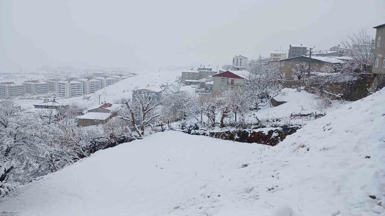 Kulp’ta kar yağışı ve buzlanma hayatı olumsuz etkiledi