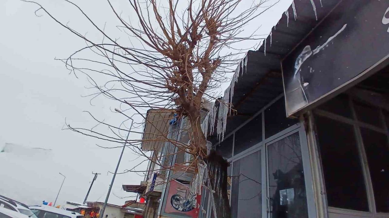 Kulp’ta kar yağışı yüksek kesimleri beyaza bürüdü