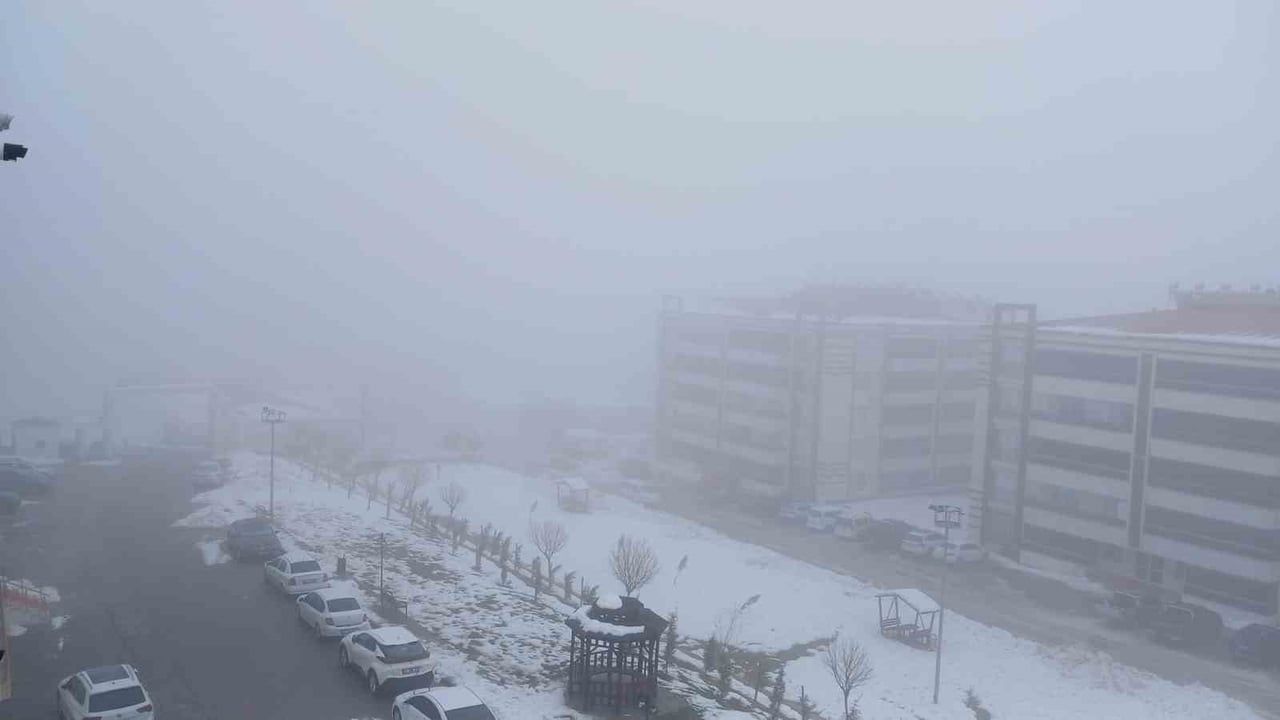 Kulp'ta kış sert geçti: sis ve karla karışık yağış