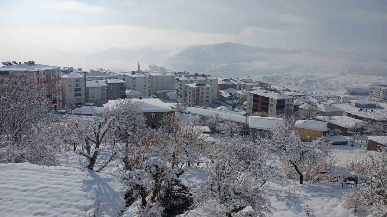 Kulp'ta üç günlük kar yağışı ilçe merkezini buzlaştırdı