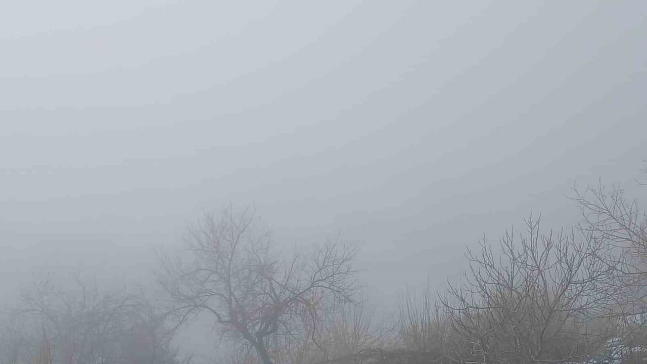 Kulp’te yoğun sis yaşamı olumsuz etkiledi