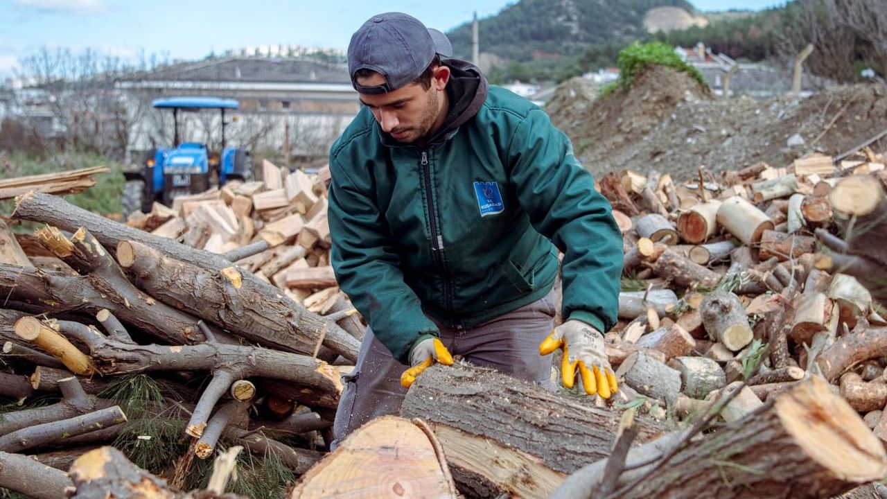 Kuşadası’nda budama atıkları yakacağa dönüştürülüyor