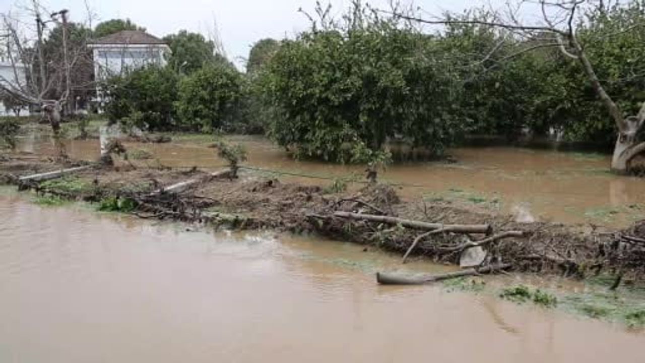 Kuşadası'nda sağanak: Davutlar'da bahçeler göle döndü, ağaçlar sular altında