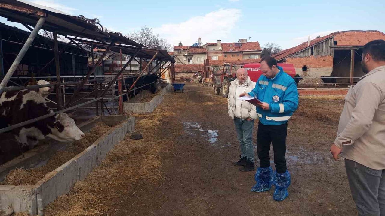 Kütahya'da besilik hayvan ithalatı için kapasite tespiti sürüyor