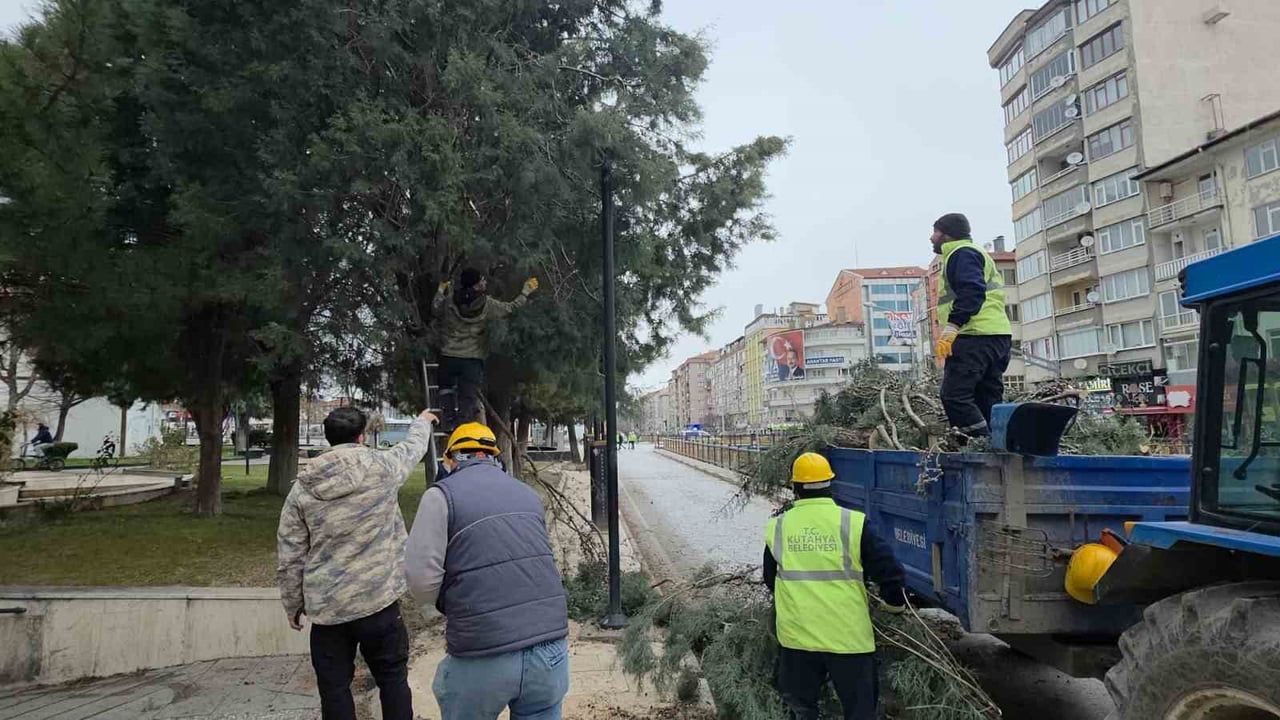 Kütahya’da fırtına: Ağaçlar devrildi, hasar oluştu