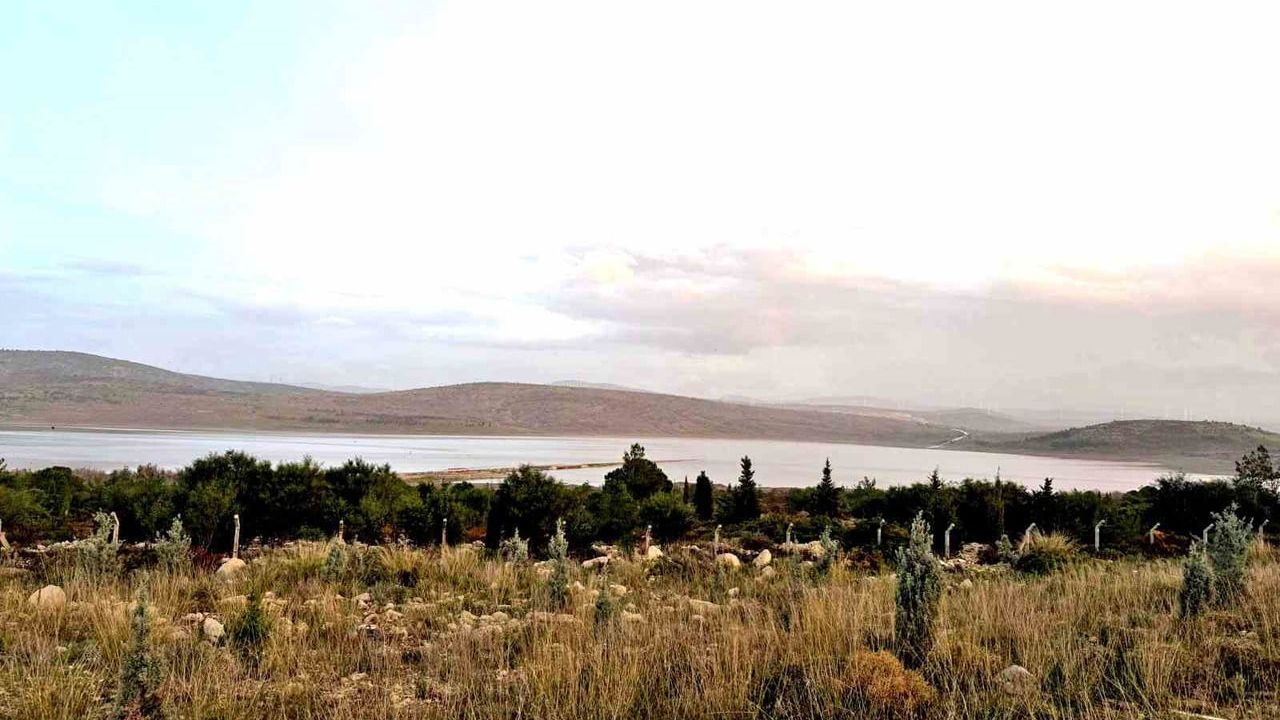 Kutlu Aktaş Barajı'nda su seviyesi yüzde 15,50'ye çıktı