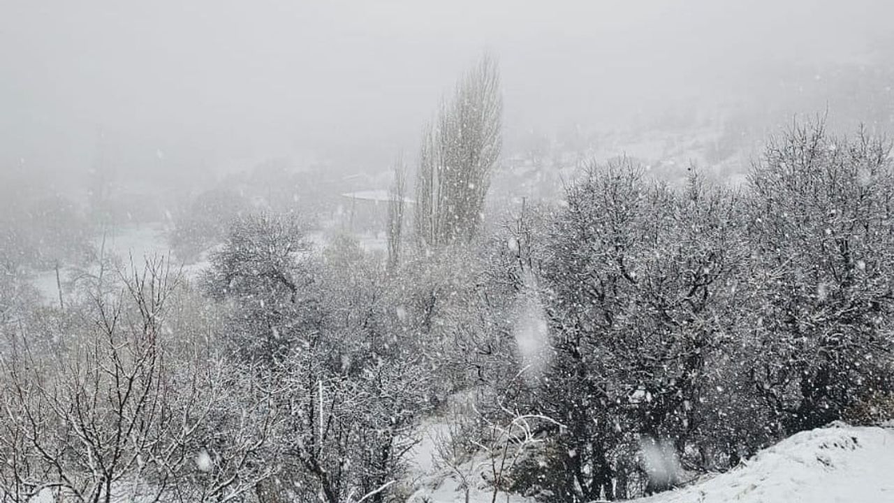 Malatya'da dondurucu soğuklar: Ağaçlar ve akarsular buzla kaplandı