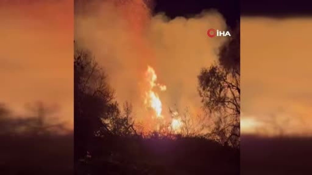Manavgat'ta D-400'de okaliptüs yangını yerleşimlere sıçramadan söndürüldü