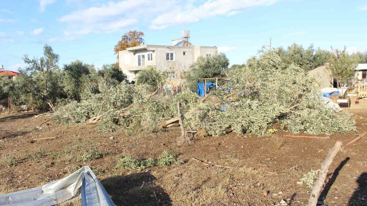 Manavgat’ta hortum sonrası seralarda ve evlerde hasar tespiti